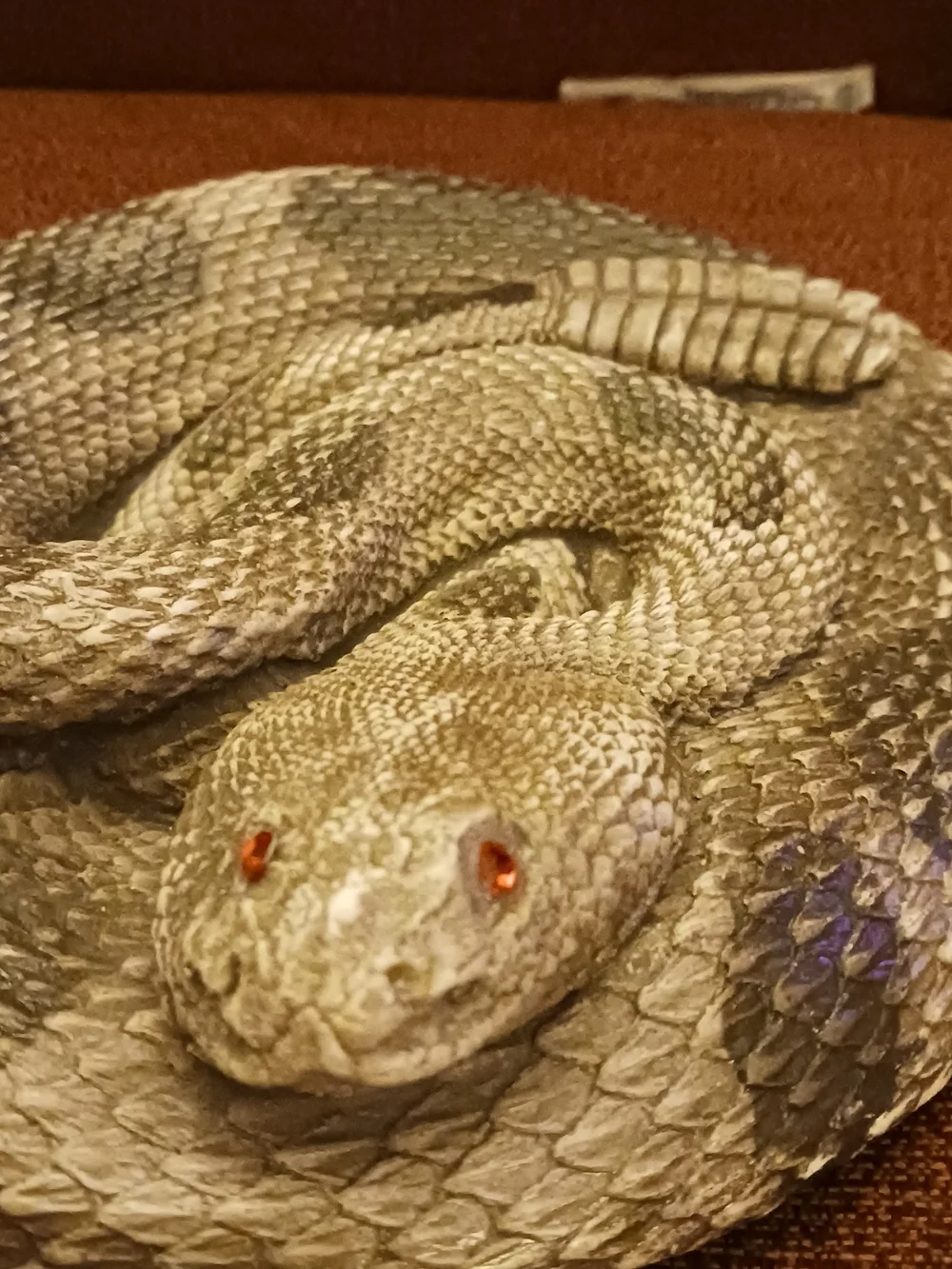 Natural Gray Reptile Habitat Décor Accessory - Pets Reptile